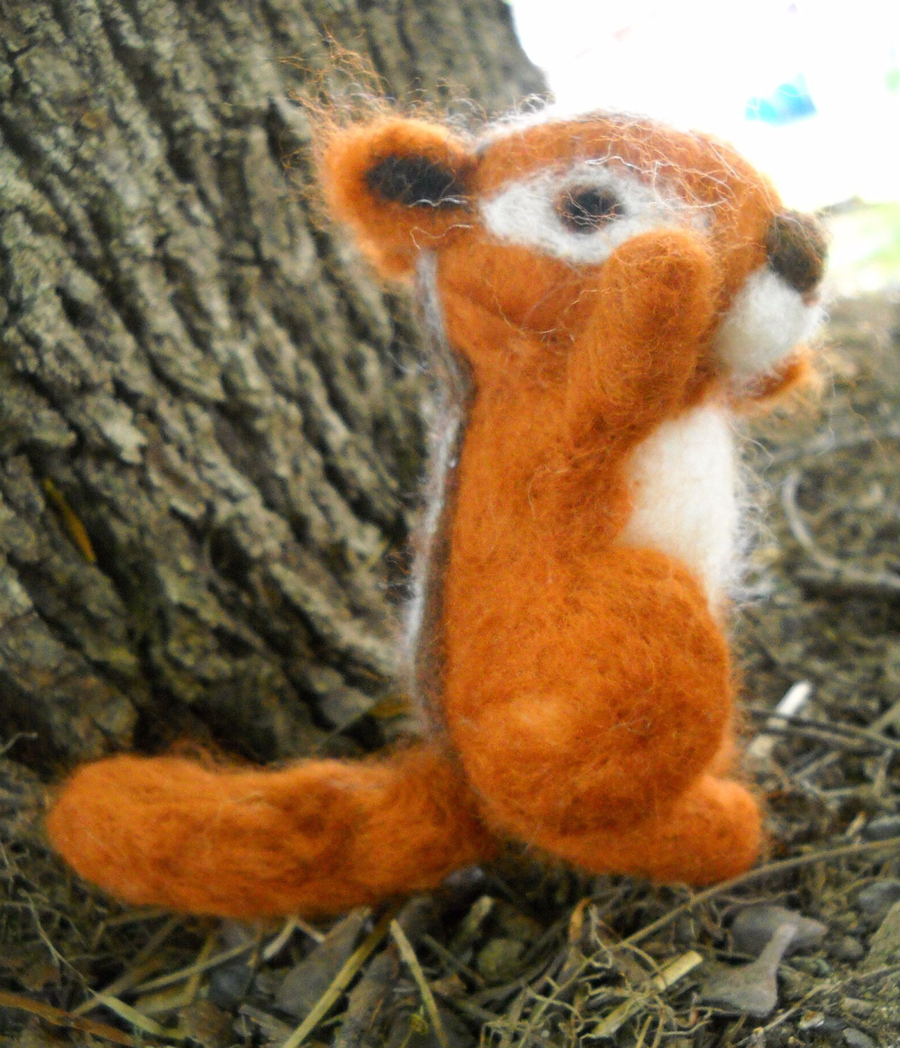 squirrel2