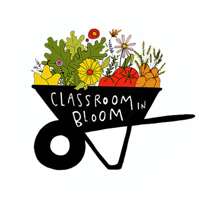 classroom in bloom